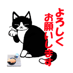 [LINEスタンプ] 猫背のぎんちゃん（ロゴなし）