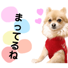 [LINEスタンプ] ひまわりスタンプ♡