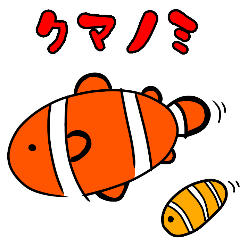 [LINEスタンプ] クマノミスタンプ