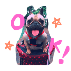 [LINEスタンプ] チャーリーと愉快な仲間たち ver.1 