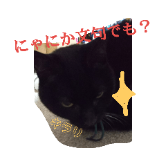 [LINEスタンプ] クロちゃま2