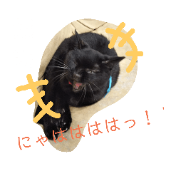 [LINEスタンプ] クロちゃま3