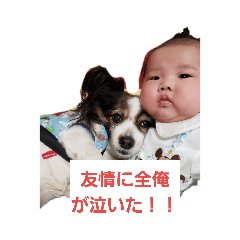 [LINEスタンプ] パピヨンチョコ君赤ちゃん郁弥君 