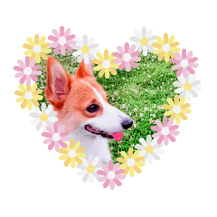 [LINEスタンプ] ひで君 fetchpriority=high