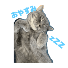 [LINEスタンプ] ひじきともやしの毎日