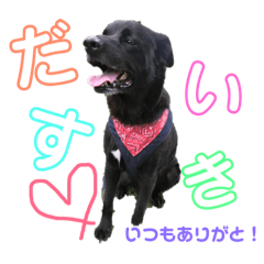 [LINEスタンプ] ぺえたんと愉快な仲間たち❤ 