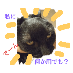 [LINEスタンプ] クロちゃま4
