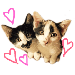 [LINEスタンプ] CREA＆LEO 