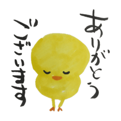 [LINEスタンプ] ピヨぴよひよこのスタンプ 