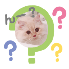 [LINEスタンプ] むうちゃん♂