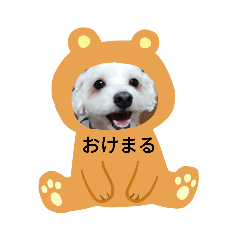 [LINEスタンプ] まーたんのペットのスタンプ