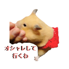 [LINEスタンプ] 谷口きなこ1st. 