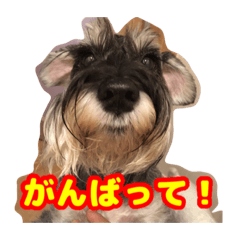 [LINEスタンプ] あんずさん、おまめさん、その4。