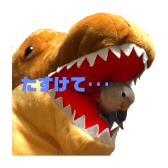 [LINEスタンプ] インコの集い 