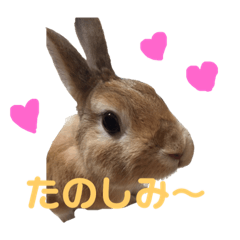 [LINEスタンプ] ちょふりんの毎日2 