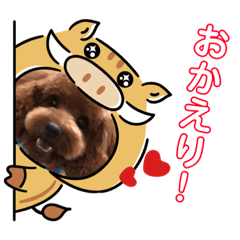 [LINEスタンプ] プードルトミー
