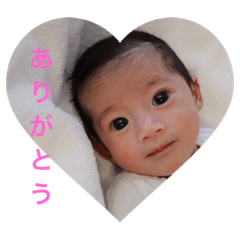 [LINEスタンプ] Yori's STAMP2 