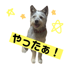 [LINEスタンプ] ハリーとナナ 