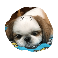 [LINEスタンプ] 高槁 