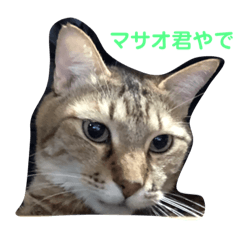 [LINEスタンプ] マサオ君パート1 