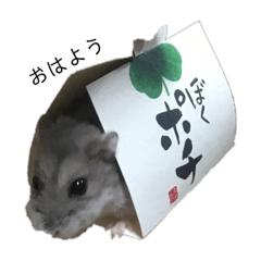 [LINEスタンプ] むねはち 