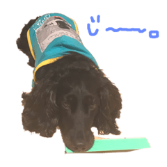[LINEスタンプ] my pets LUKE 