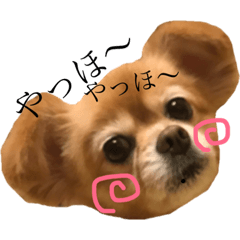 [LINEスタンプ] ナツぽよりん