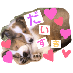 [LINEスタンプ] ふーたろうちゃん 