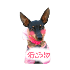 [LINEスタンプ] リンちゃん。
