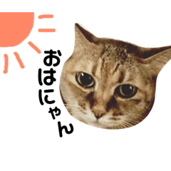 [LINEスタンプ] なるの日常 