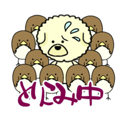[LINEスタンプ] ビションのモフ犬 げんさん 友達と出逢う 