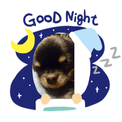 [LINEスタンプ] チワワ  可愛いマイロのご挨拶 