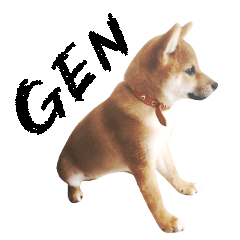 [LINEスタンプ] 柴犬GEN