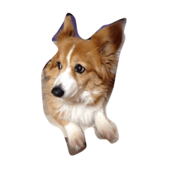 [LINEスタンプ] モコ様 
