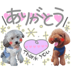 [LINEスタンプ] ryotayustamp
