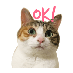 [LINEスタンプ] むぎわらすたんぷ 