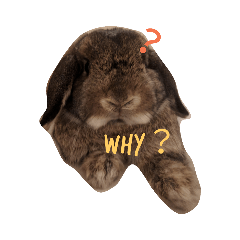 [LINEスタンプ] pepino2 fetchpriority=high