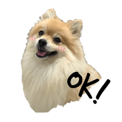 [LINEスタンプ] ポン助くん 
