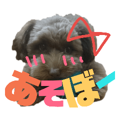 [LINEスタンプ] ワン だ フル な日常