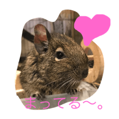 [LINEスタンプ] 弥生ちゃんスタンプ 