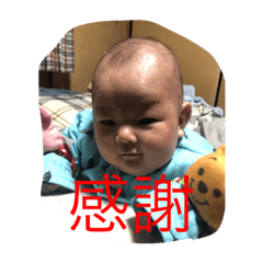 [LINEスタンプ] 蒼君スタンプNO1 