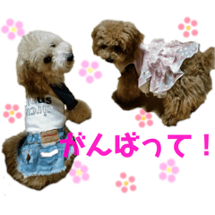 [LINEスタンプ] 良太とゆかいな仲間たち❷ fetchpriority=high