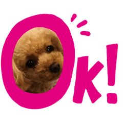 [LINEスタンプ] トイプードルのふわちゃんα