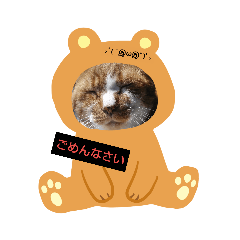 [LINEスタンプ] てぃーちの日々。 