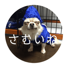 [LINEスタンプ] ワンまさお 