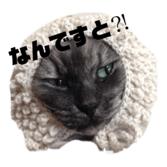 [LINEスタンプ] 猫うららとぼやっき〜 