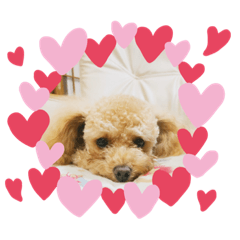 [LINEスタンプ] シェリー♡1029 