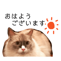 [LINEスタンプ] ふくまるさんの敬語スタンプ 