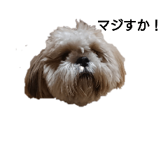 [LINEスタンプ] わんこ！ミルク 