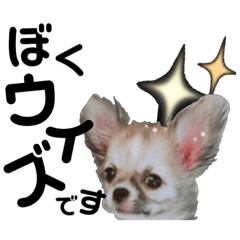 [LINEスタンプ] ウィズさんのスタンプ  第1章 